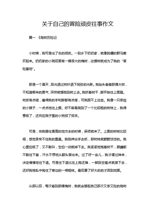 关于自己的冒险顽皮往事作文