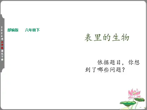第16课《表里的生物》课件(共33张PPT)