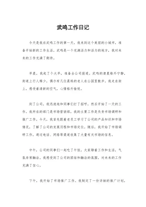 武鸣工作日记