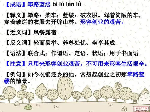 常考成语易错(精美).ppt