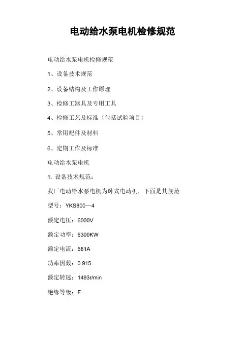 电动给水泵电机检修规范