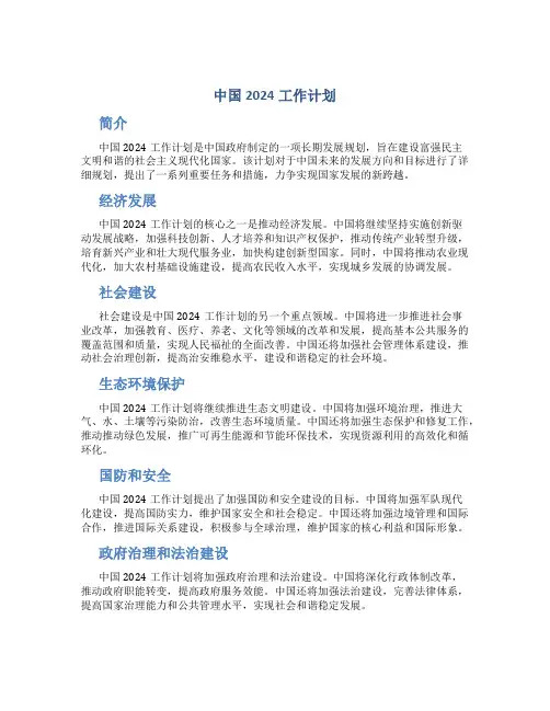中国2024工作计划