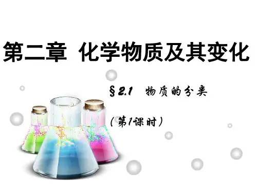 《物质的分类》PPT课件