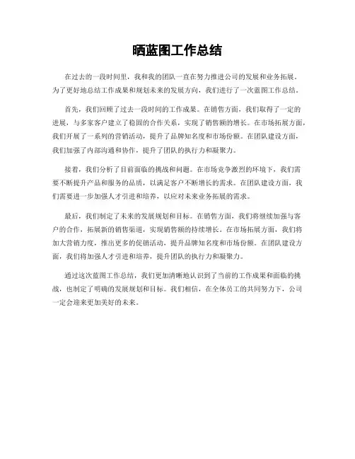 晒蓝图工作总结