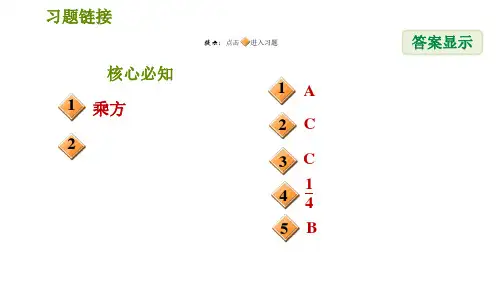 沪科版七年级下册数学第9章9.2.2分式的乘方习题课件