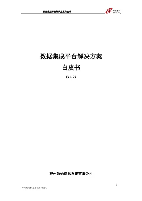 自定义数据查询分析平台-欢迎使用Connections-神州数码