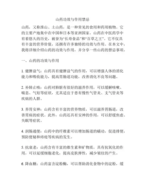 山药功效与作用禁忌