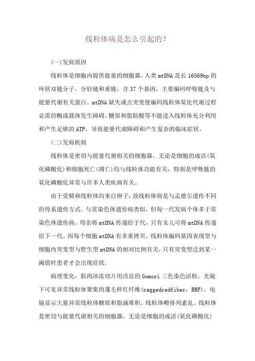 线粒体病是怎么引起的？