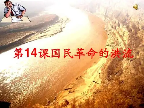 国民革命的洪流PPT优秀课件17 北师大版