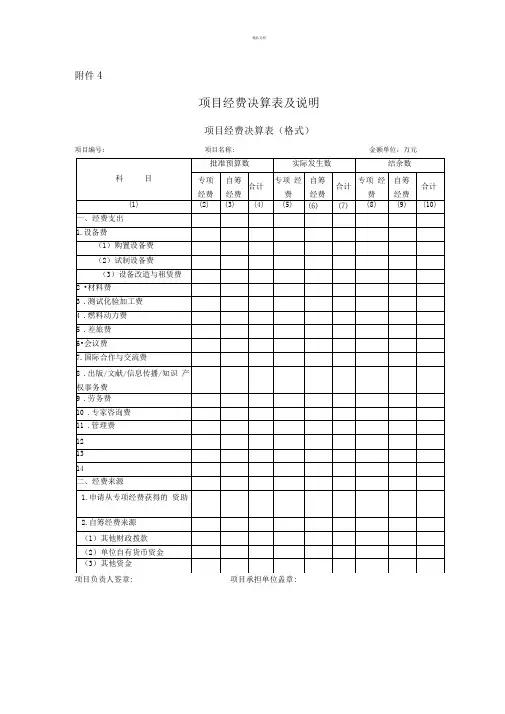 项目经费决算表及说明