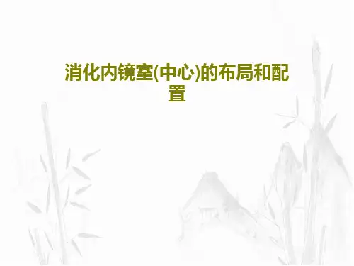 消化内镜室(中心)的布局和配置共39页文档