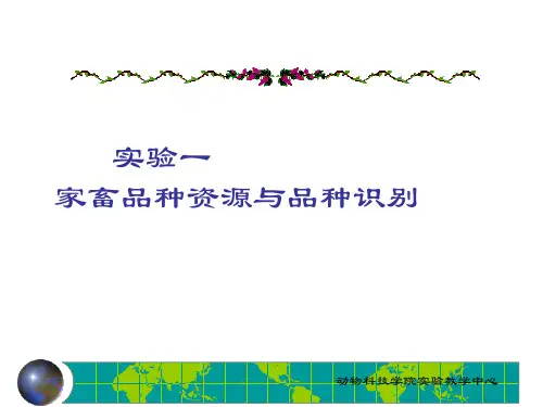 实验一 家畜品种资源及品种识别