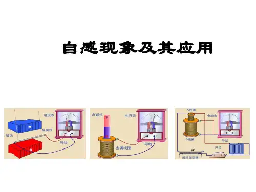 自感现象_精品文档