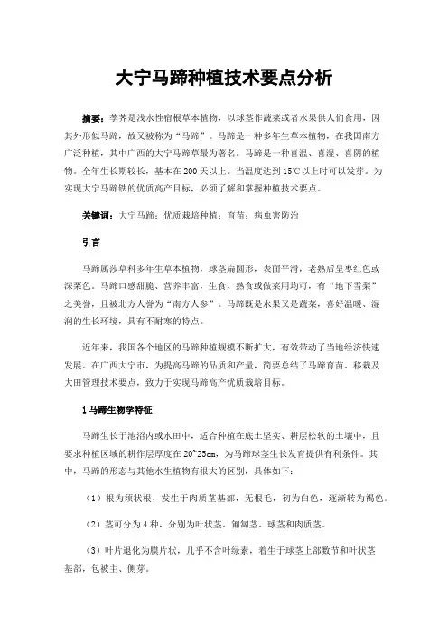 大宁马蹄种植技术要点分析
