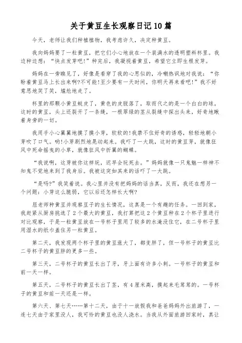 关于黄豆生长观察日记10篇