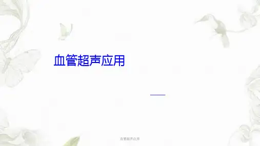 血管超声应用ppt课件