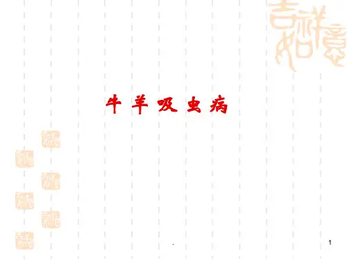 肝片吸虫PPT参考课件