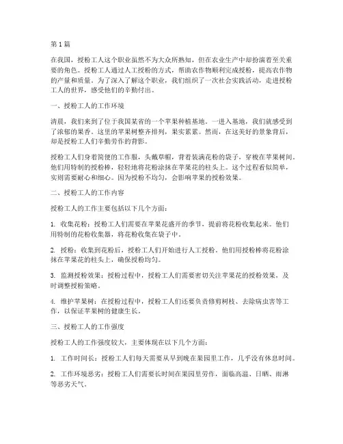 社会实践活动之授粉工人(3篇)