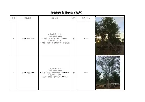 攀枝花苗木清单报价表有图有报价