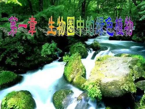 藻类、苔藓和蕨类植物