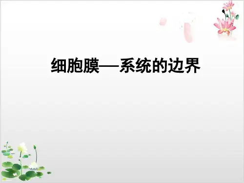 人教版高中生物必修一细胞膜—系统的边界-ppt精品课件