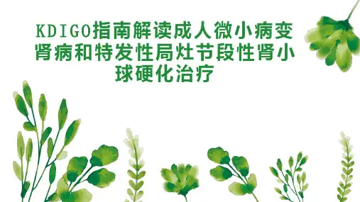 KDIGO指南解读成人微小病变肾病和特发性局灶节段性肾小球硬化治疗