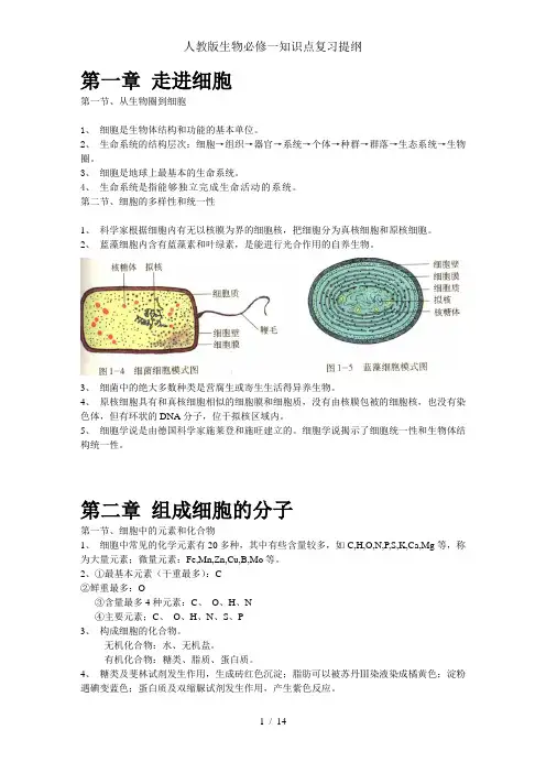 人教版生物必修一知识点复习提纲