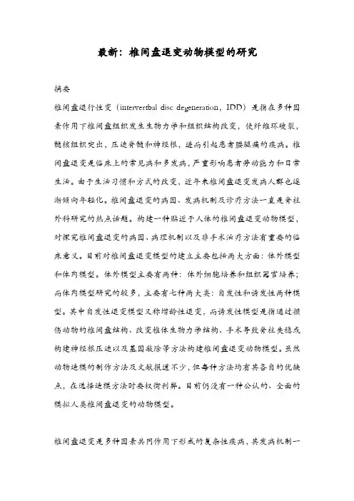 最新：椎间盘退变动物模型的研究