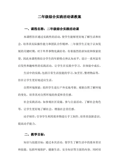 二年级综合实践活动课教案