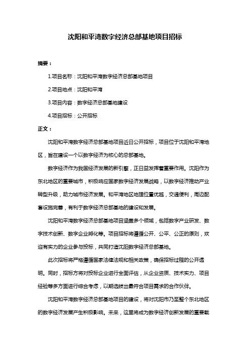 沈阳和平湾数字经济总部基地项目招标