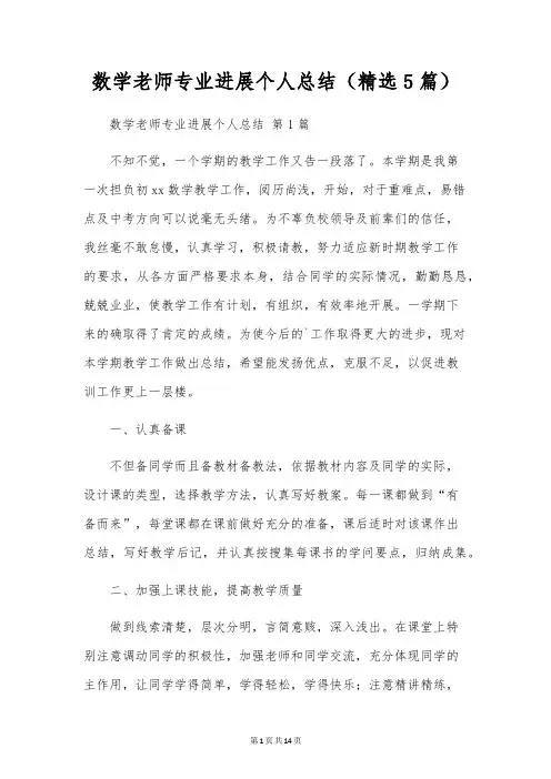 数学教师专业发展个人总结(5篇)