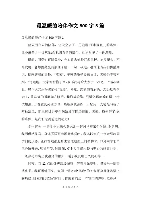 最温暖的陪伴作文800字5篇
