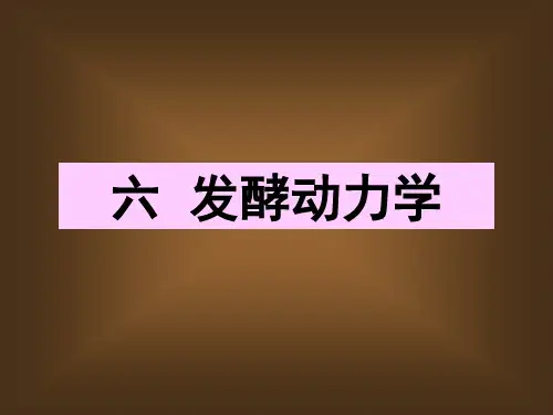 6.发酵动力学