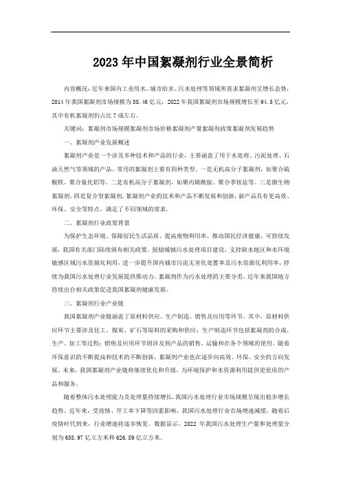 2023年中国絮凝剂行业全景简析
