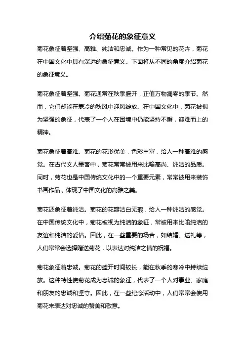 介绍菊花的象征意义