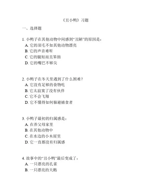 《丑小鸭》习题