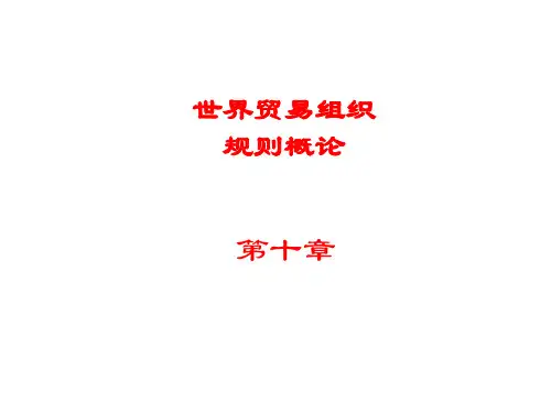 第十章  服务贸易总协定  (《世界贸易组织概论》)