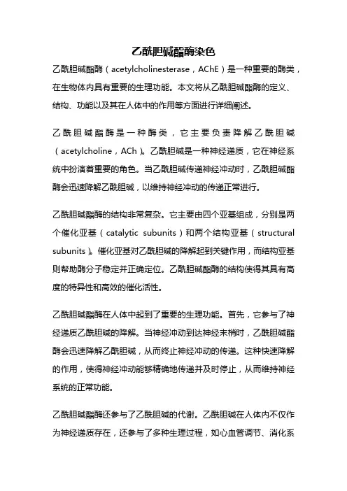 乙酰胆碱酯酶染色