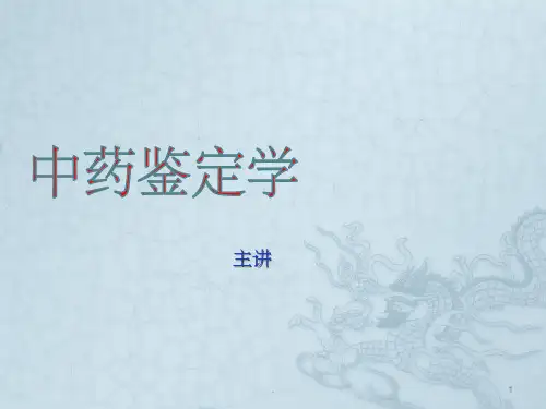 根和根茎类药材ppt课件