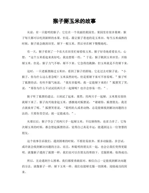 猴子掰玉米的故事