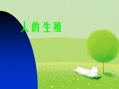 人的生殖(说课稿)PPT课件