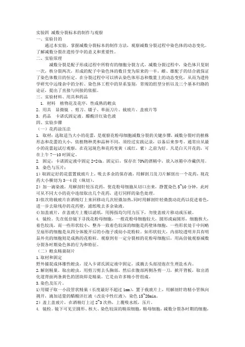 减数分裂标本的制作与观察