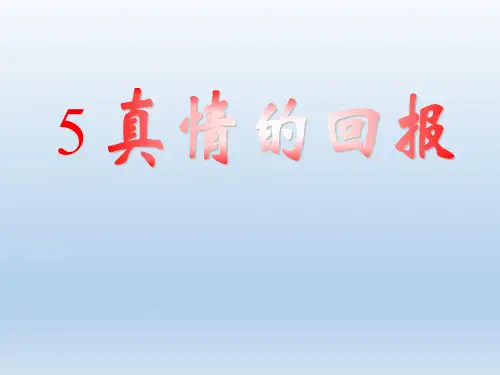 真情的回报ppt