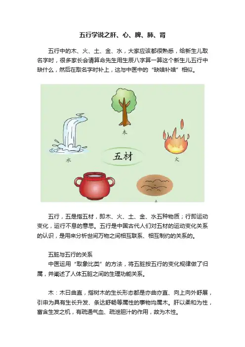 五行学说之肝、心、脾、肺、肾