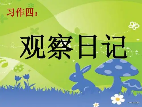 《习作四：观察日记》课件111