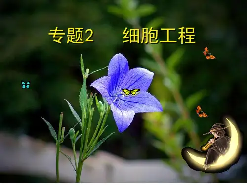 高中生物选修3细胞工程