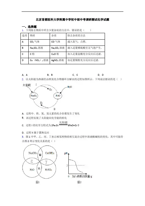 北京首都医科大学附属中学初中部中考调研测试化学试题