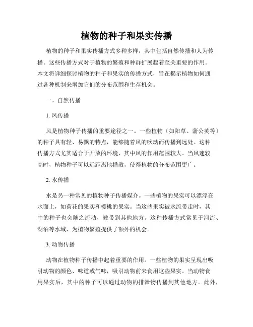 植物的种子和果实传播