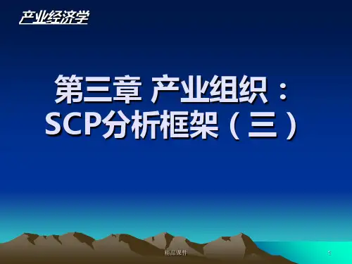 市场行为与市场绩效PPT课件
