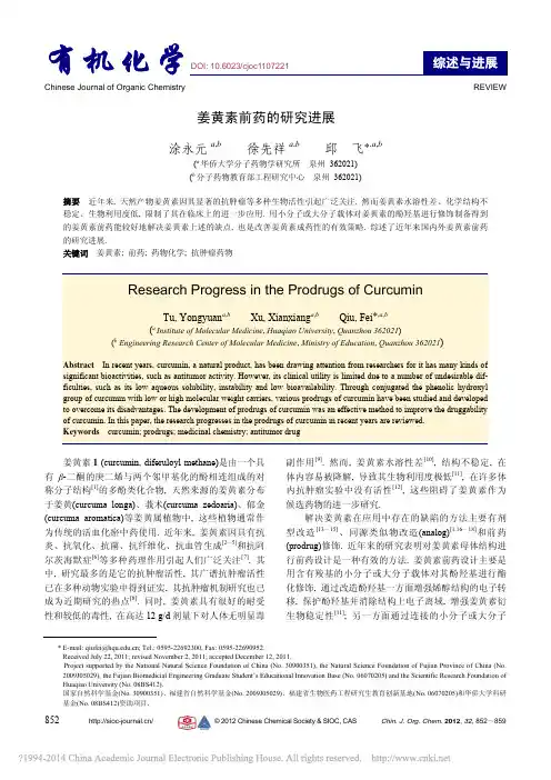 姜黄素前药的研究进展_涂永元